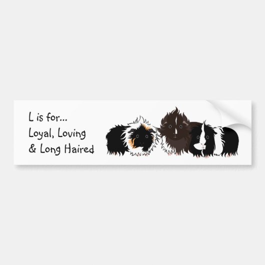 3 long haired piggies bumper sticker バンパーステッカー (正面)