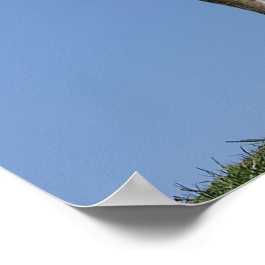 3 Month Old Boxer Puppy ポスター (角)