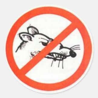 3" No Ratシール ラウンドシール