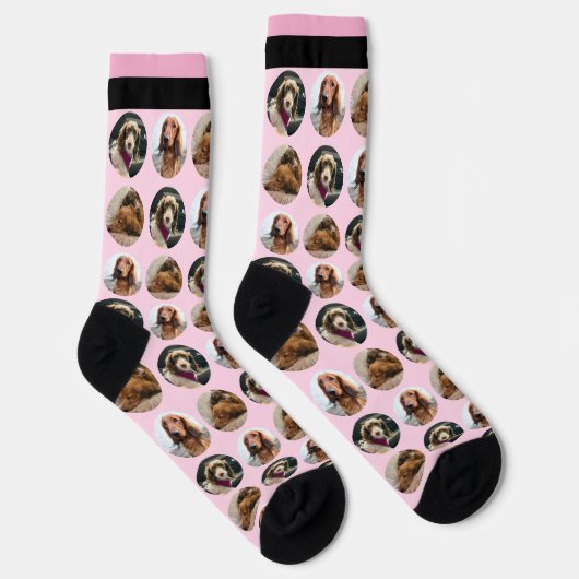 3 Photo Dachshund Crew Socks ソックス (右)