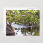 3 rocks_green ポストカード (正面/裏面)