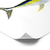 3 Saltwater Gamefish ポスター (角)