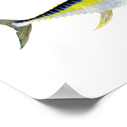 3 Saltwater Gamefish ポスター (角)