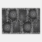 3 Spider Webバラハロウィンコラージエフエメラシート ラッピングペーパーシート (正面3)