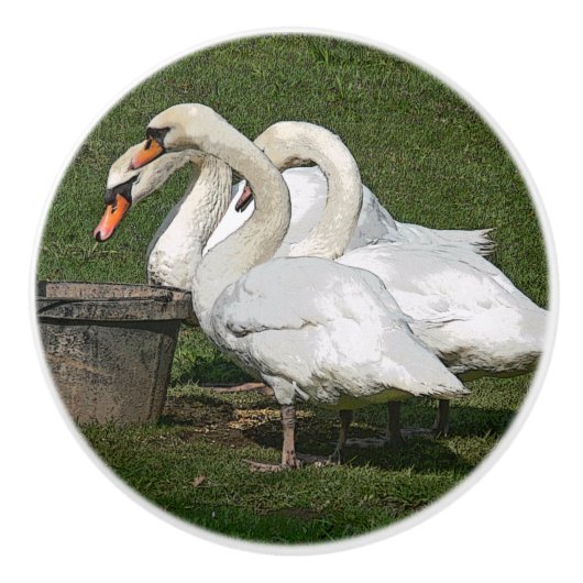 3 SWANS/PHOTOG.WITHデジタル効果 セラミックノブ (正面)