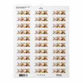 3 teddy bears  ラベル (フルシート)