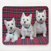 3 Westies マウスパッド (正面)
