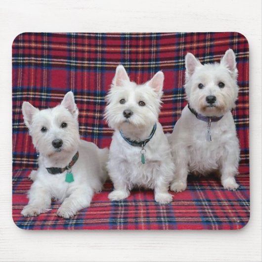 3 Westies マウスパッド (正面)