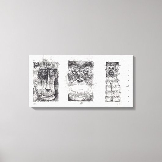 3 Wise Monkey for Monkey Year 2016 Canvas キャンバスプリント (正面)
