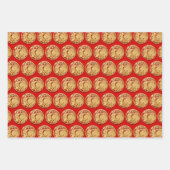 3 Wp2金ゴールド中国の紙カットラビット年Cを選択 ラッピングペーパーシート (正面)