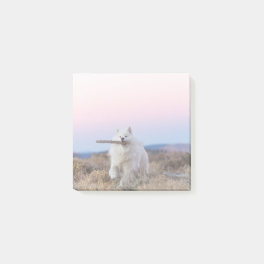 3"x3"ポストイットに関するメモ – Branch Manager ポストイット (正面)