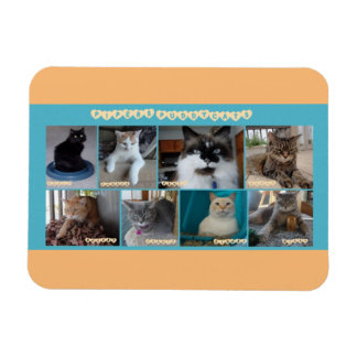 3 x 4フレキシブル磁石 マグネット