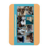 3 x 4フレキシブル磁石 マグネット (縦)