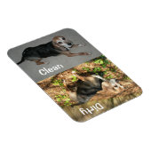 3" x 4"クリーン/ダーティビーグル写真食洗機マグネット マグネット (右側)