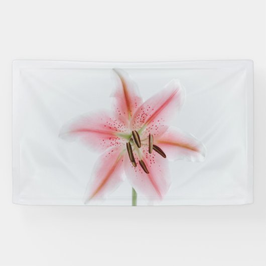 3' x 5'バナー 横断幕 (横)