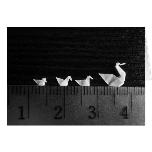 3cm家族の水泳 (正面横)