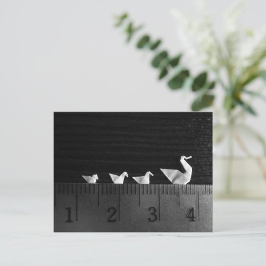 3cm家族泳ぎ ポストカード (スタンド正面)