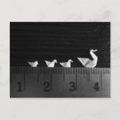 3cm家族泳ぎ ポストカード (正面)