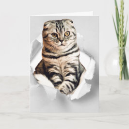 3dおもしろいグラフィック猫の引き裂かれた紙錯覚 カード