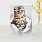 3dおもしろいグラフィック猫の引き裂かれた紙錯覚 カード (黄色い花)
