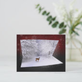 3Dイリュージョン「雪の夢」 ポストカード (スタンド正面)