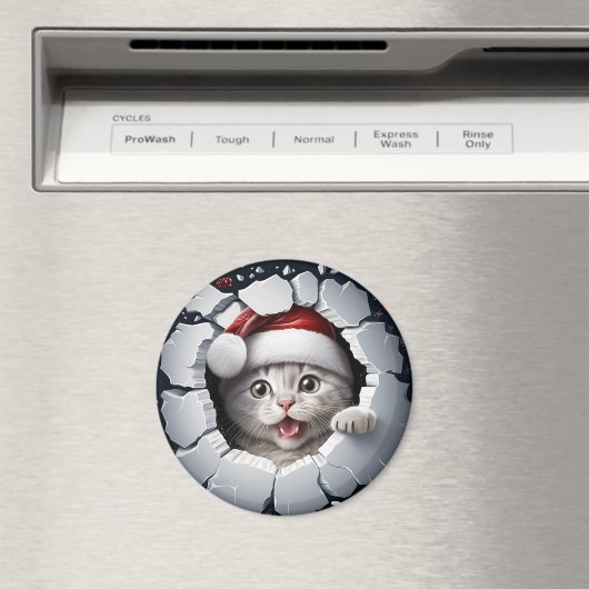 3Dキットン マグネット (インサイチュ (食洗機))