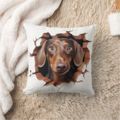 3Dダシュントひび割れ穴 クッション (ブランケット)