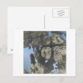 3Dフラクタル画像はがき ポストカード (正面/裏面)