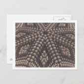 3Dフラクタル画像はがき ポストカード (正面/裏面)