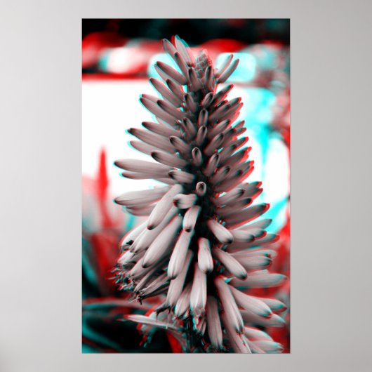 3Dフラワー熱狂するズ ポスター (正面)