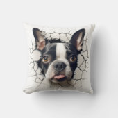 3Dボストンテリアひび割れ穴 クッション (正面)