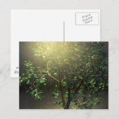 3Dメープル日本のツリー ポストカード (正面/裏面)