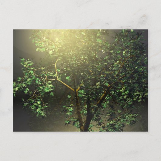 3Dメープル日本のツリー ポストカード (正面)