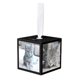 3dモダンスクエアカスタムファミリー/ペット写真 キューブオーナメント