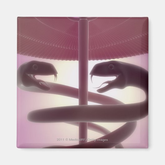 3d医描写療瘤 マグネット (正面)