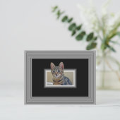3D子猫葉書 ポストカード (スタンド正面)