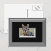 3D子猫葉書 ポストカード (正面/裏面)