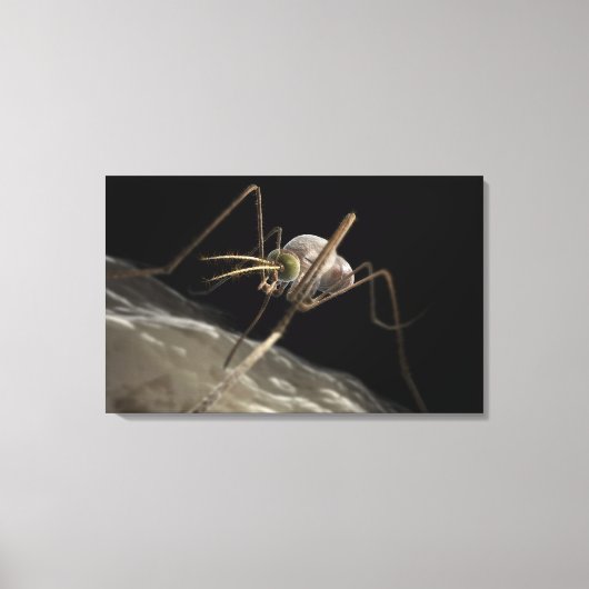 3D蚊の噛み込みを閉じる キャンバスプリント (正面)