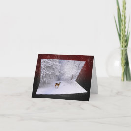 3D錯覚"Snowy夢を見ます"は シーズンカード