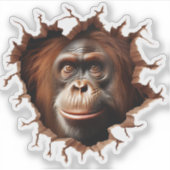 3D オランウータン 壁破り アート - 写実的なサファリ シール (正面)