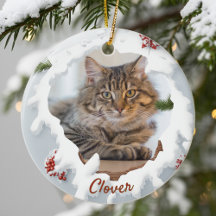 3D ネコのクリスマス　オリジナル写真　ペット愛好家のプレゼント
