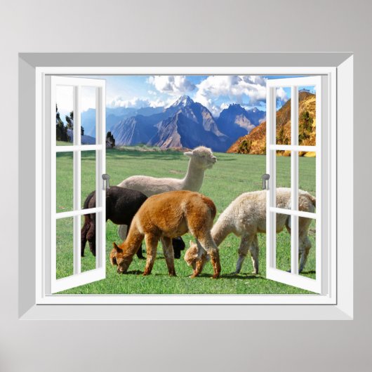 3D Fake Window View Alpaca Llama Wall Art ポスター (正面)