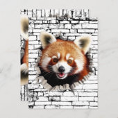 3D Red Panda Wall Break Art – Realistic Safari ポストカード (正面/裏面)