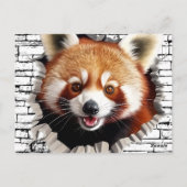 3D Red Panda Wall Break Art – Realistic Safari ポストカード (裏面)