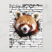 3D Red Panda Wall Break Art – Realistic Safari ポストカード (正面)