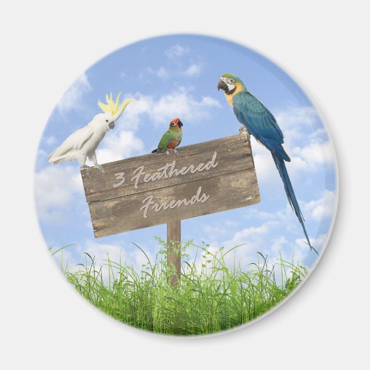 3FFマグネット マグネット (正面)