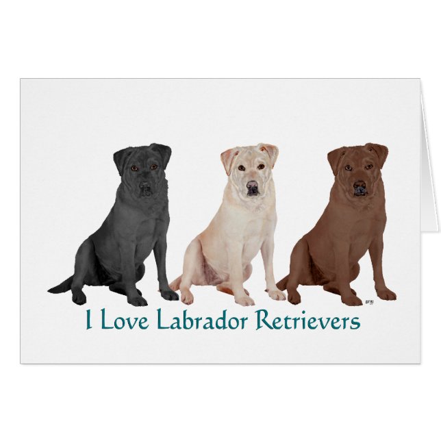 3Labs (正面横)