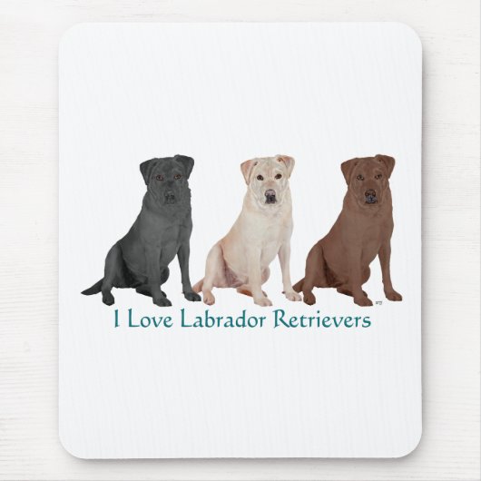 3Labs マウスパッド (正面)