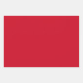 3pc。不気味なクリスマススカルラッピング紙 ラッピングペーパーシート (正面2)