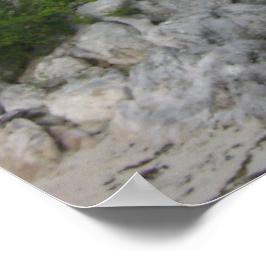 3SqMeals # 263ポスター ポスター (角)